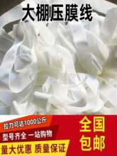 ���Ҵ��Ĥ����Ĥ�K��Ĥ����ɫ�Ӻ����K���L�K�������ȫ