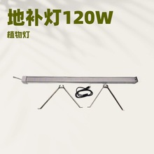 120WֲײaledgLӼܷNֲM{