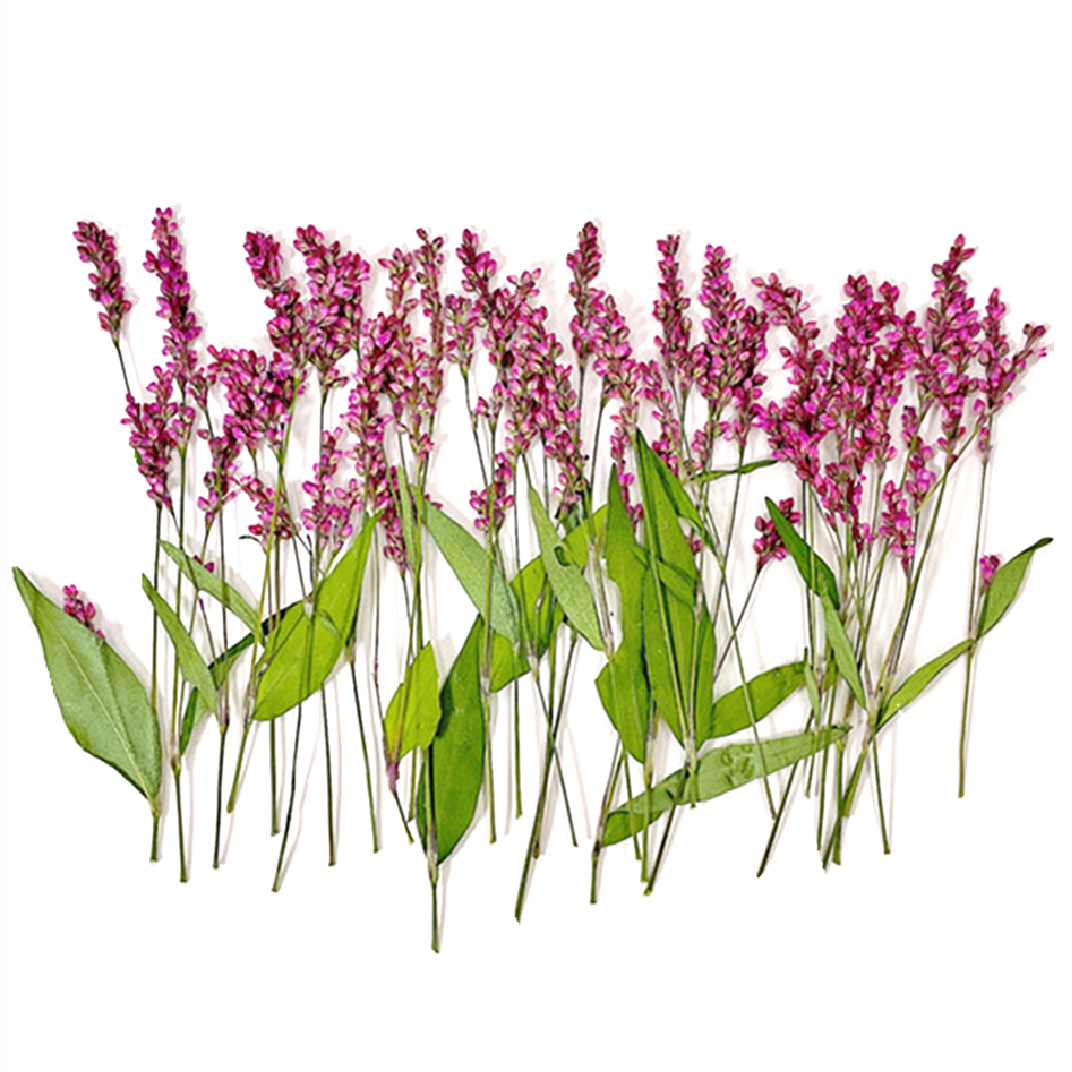 微信图片_20220919190525