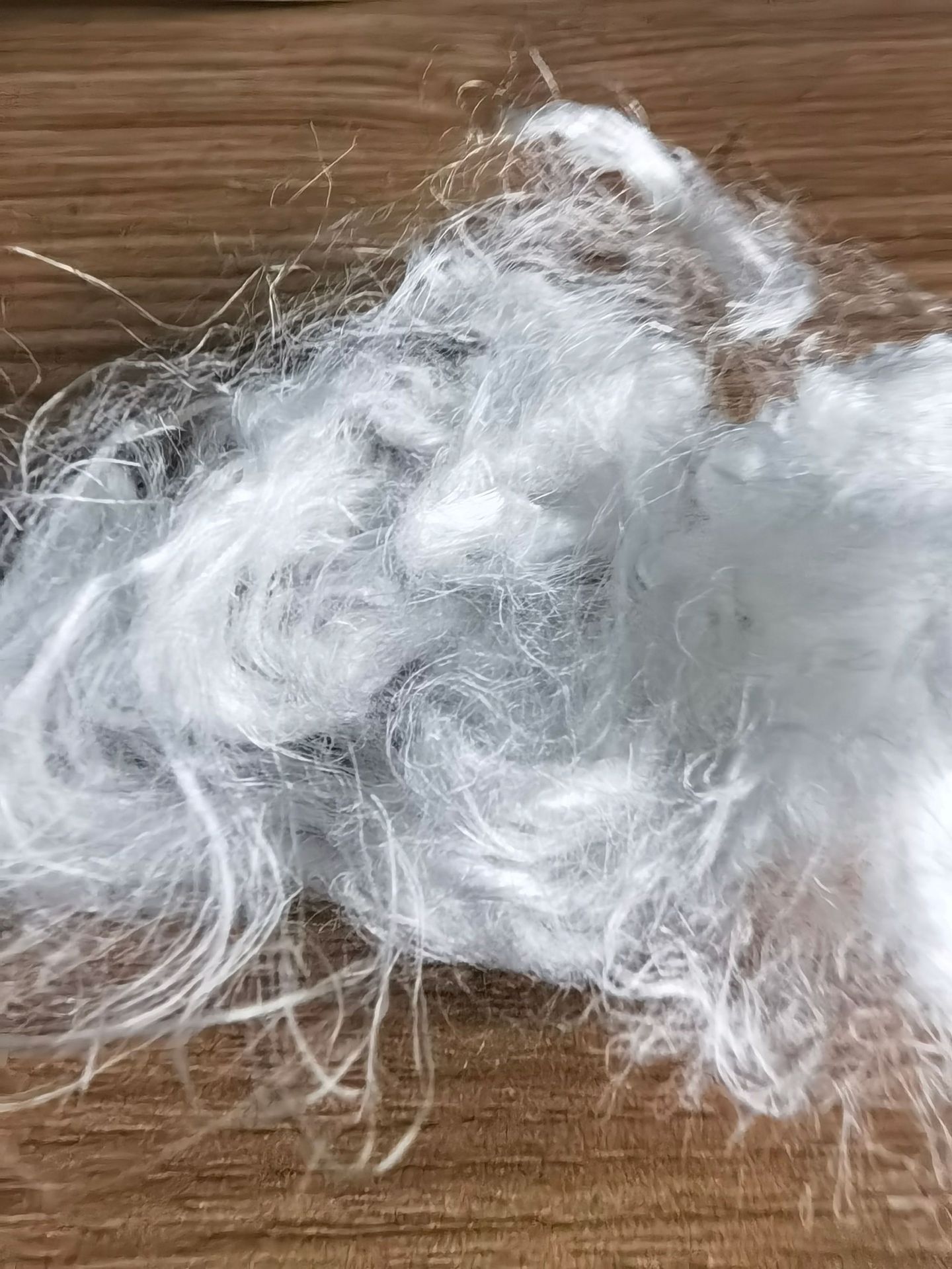 7ace7ff8bfe05bfd83480b63f21457