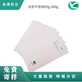 牛皮纸;其他包装用纸;拷贝纸