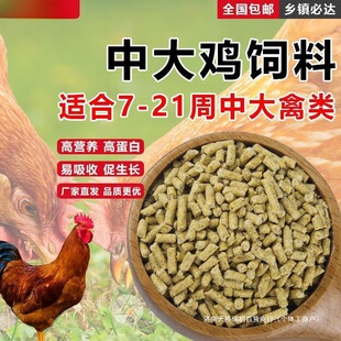 �u������l�д��w���u������µ��u���uͨ�ÿ羳����վ�S���д��u