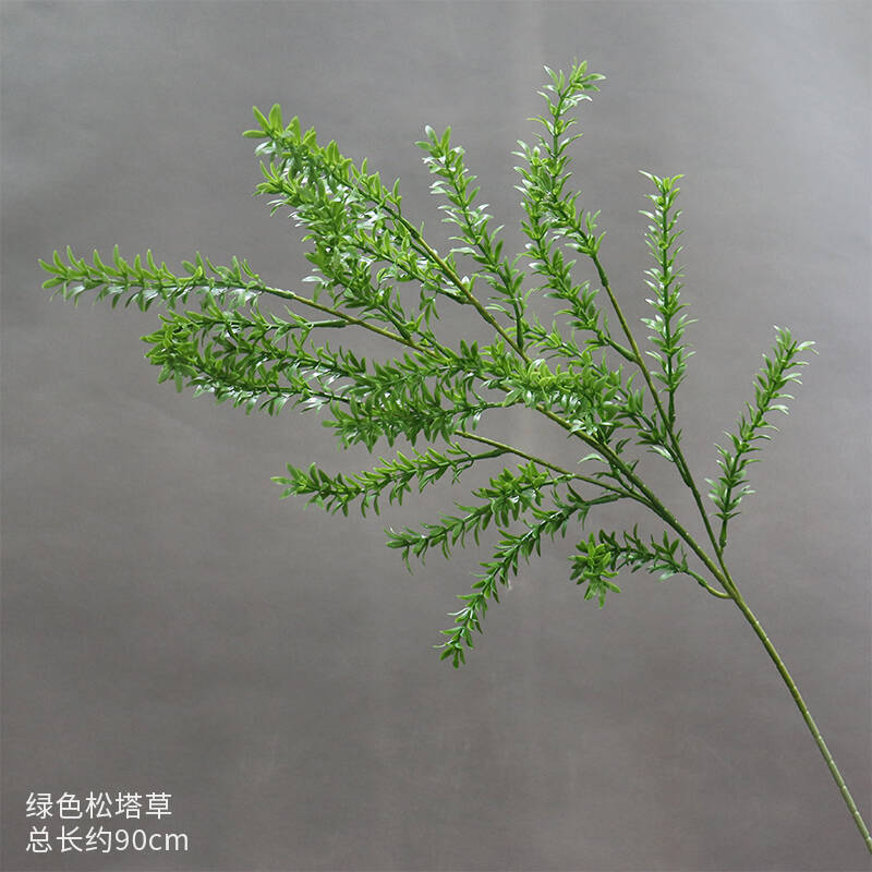 녹색 솔방울 풀