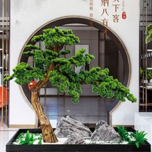 羅漢松造型樹真松樹商場酒店裝飾美人景觀擺件松樹迎客松一件批發