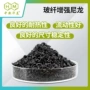 山东供应商加纤挤出pa6