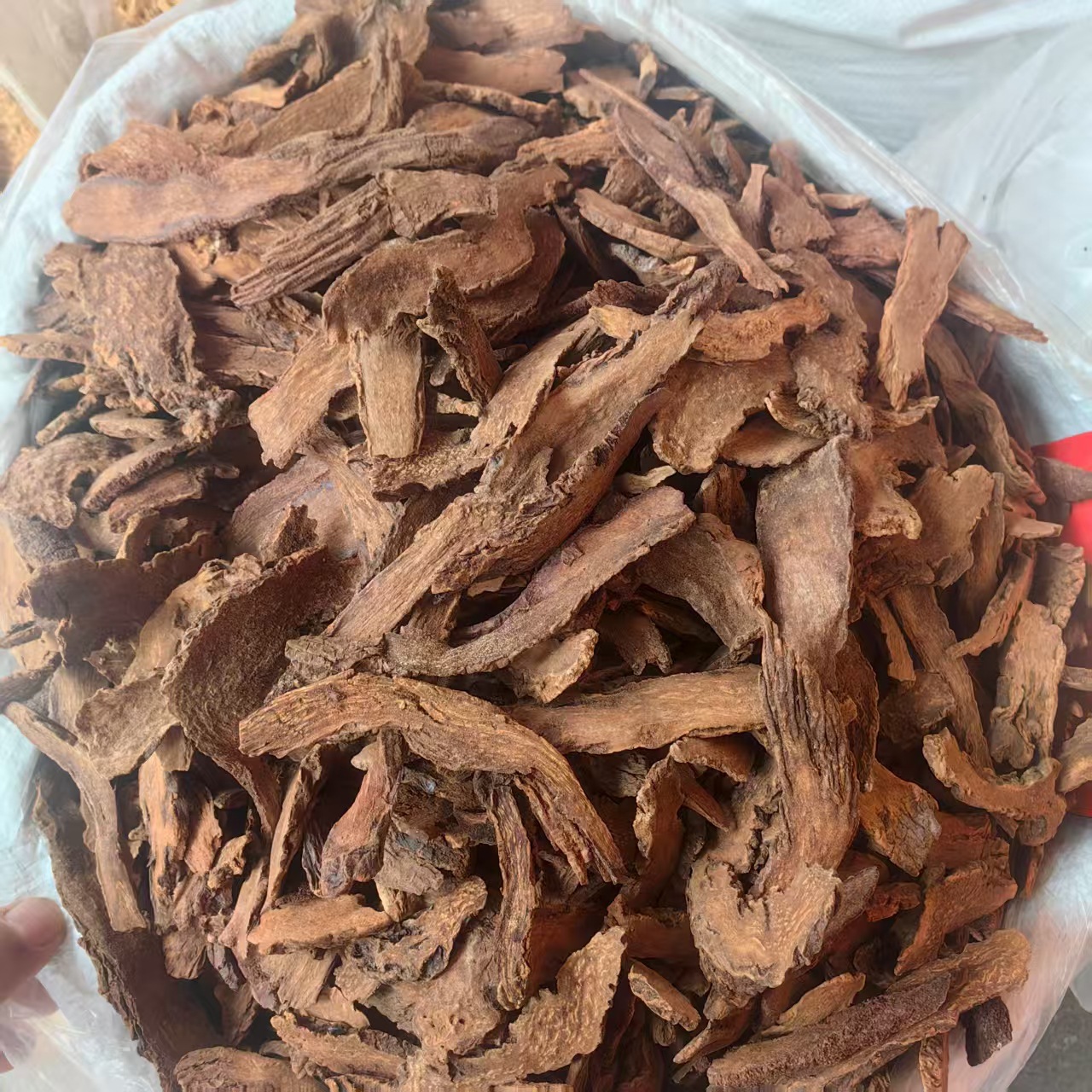 Cynomorium Slices Suo Yang 500g Dried Herbal Decoction Pieces Sun Dried quality and texture