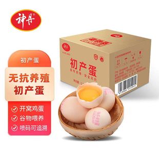 ���_�C�r�u��40ö����ι�B���a���o�����ؿ���ʳ��͏d�Ã��|��