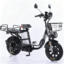 出口16寸3.0轮胎俄罗斯朝鲜依兰公主电动车电动自行车外卖车 电瓶