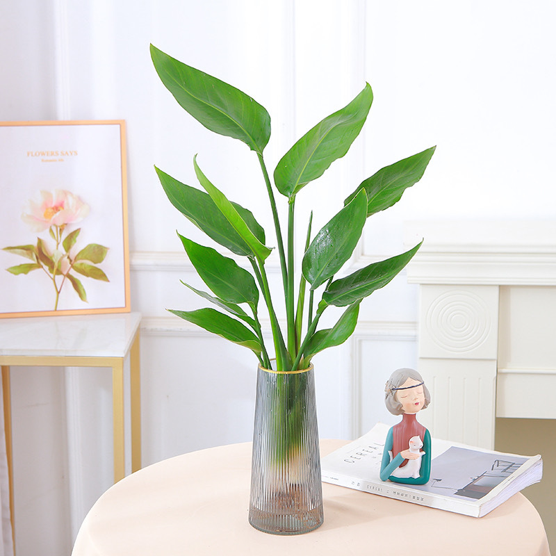 극락조 50-60cm [나무 3개] + 재 세로 스트립 마감 병