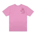6673 Pink