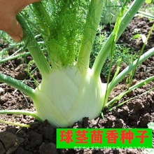 ���o����N�Ӹ��С�����ѽY����m�ļ��������ﶬ���N������