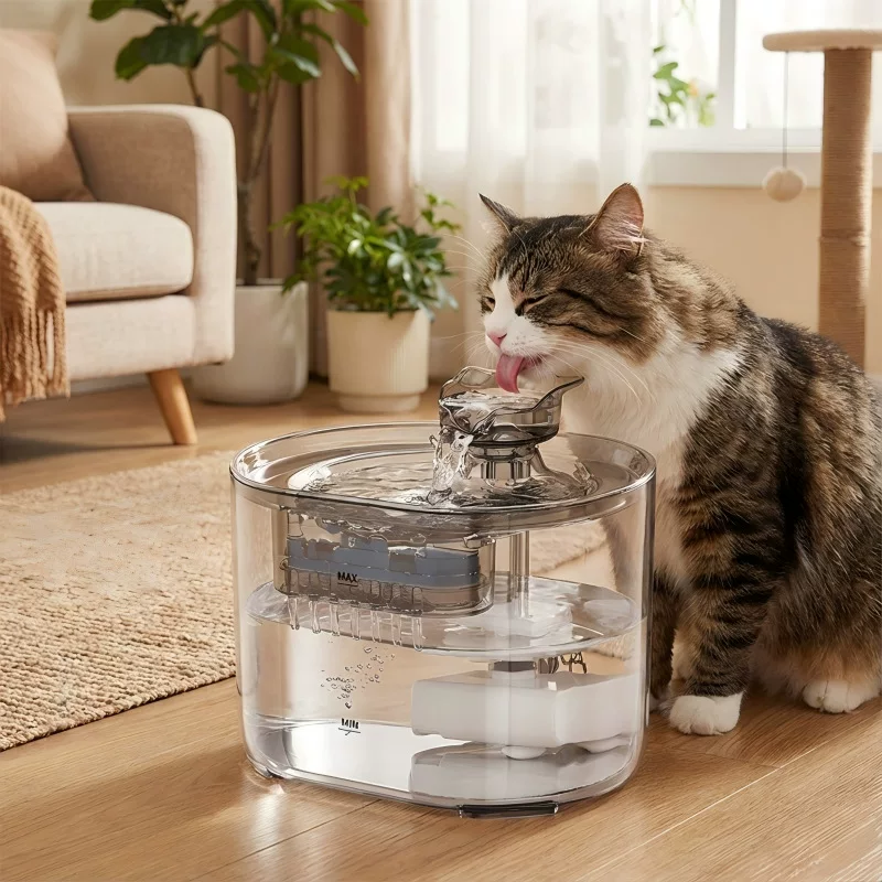 Automatic fountain, filter, Amazon, cat, pet