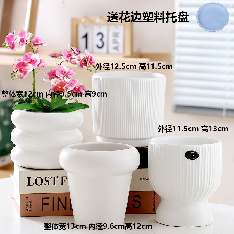 Four jade white gloss combinations (comes with tray)