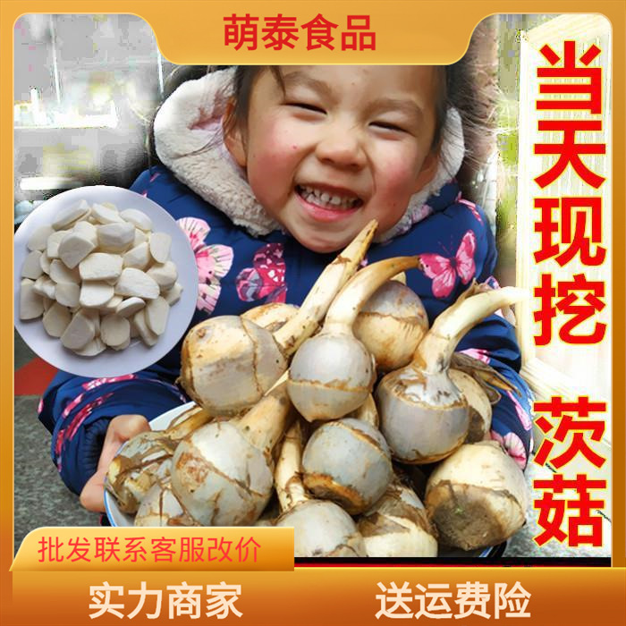Fresh Green Mushrooms 2.5kg Purple Mushrooms, Water Chestnuts, White Mushrooms, Swallowtail Grass, Chestnut Bud Mushrooms, Edible Vegetables
