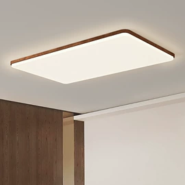 吸顶灯;吊灯;室内壁灯