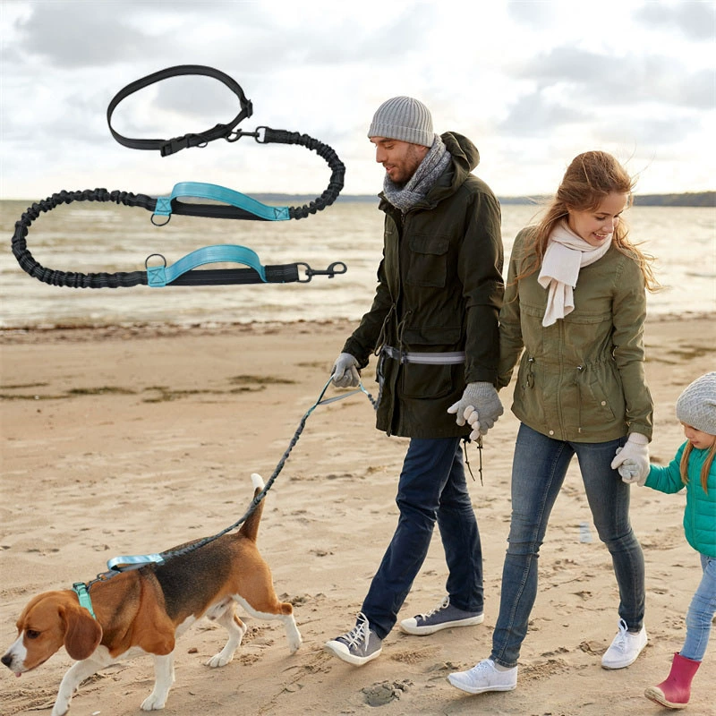 Фабрика в наличии товары для домашних животных портативный двойной эластичный поводок двойной выдвижной поводок цепи собаки поводок