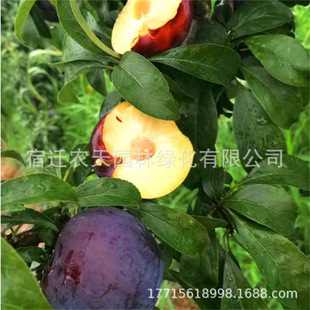 �޽ӿ������Ĵ��F��Ó��������������������t���Y��