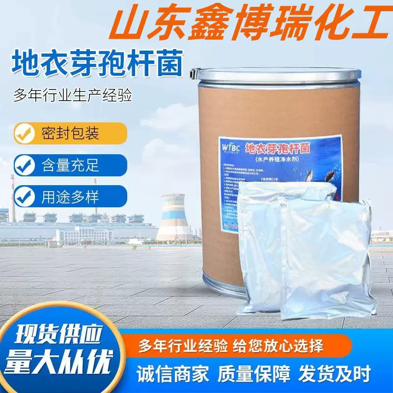 饲料添加剂地衣芽孢杆菌 畜牧养殖农用 微生物菌粉地衣芽孢杆菌