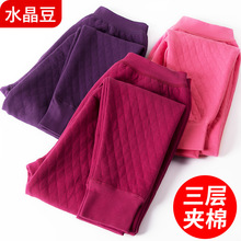 中老年人秋裤加厚女士全棉毛裤妈妈三层夹棉保暖裤纯棉裤宽松冬季
