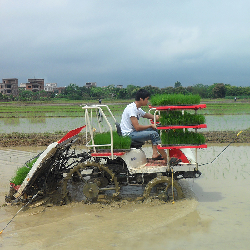 农用水田栽苗机单人操作水稻插秧机手扶式水稻新式六行插秧机