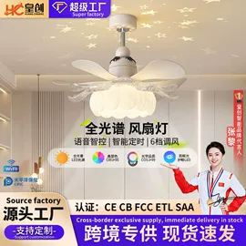 风扇灯;吸顶灯;智能家居