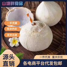 泰国进口牛奶椰皇新鲜椰子青椰汁奶香水果老椰肉整箱批发一件代发