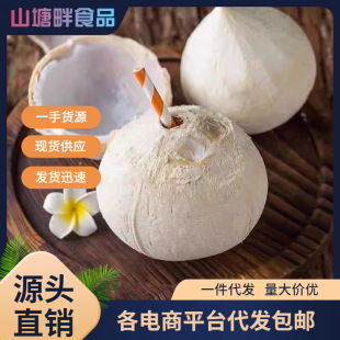 ţ��Ҭ�����rҬ����Ҭ֭����ˮ����Ҭ������8�����lһ�����l