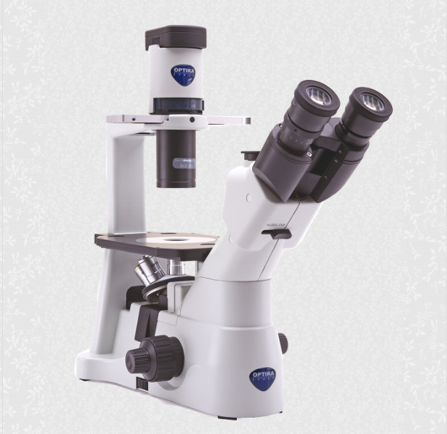 ����� OPTIKA ������΢��IM-3 ����ʽ ����ʵ����ϸ���۲��о�