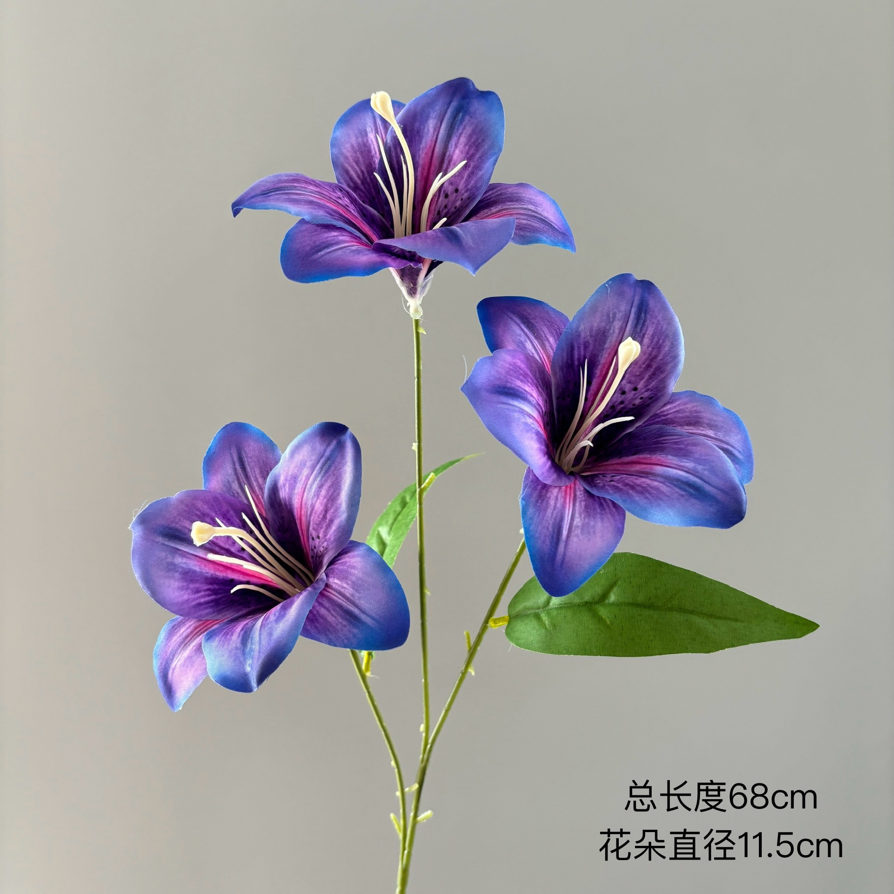 진한 보라색