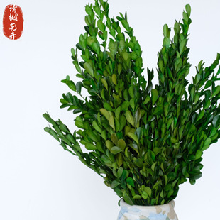 ������С�~�S�� �S��ľ�ɻ������ҾӲ廨�b��^�DIY���ďS�����l