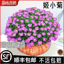 ��С�����Ԏ������������ػ���༾�����ֲ̨�ﱬ���_���ջ�