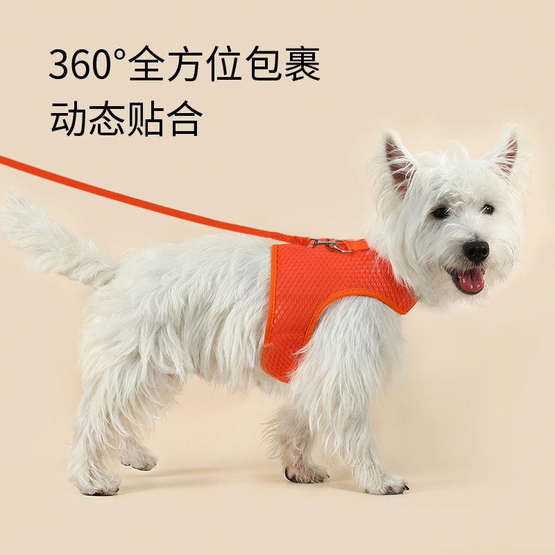 Cordilla de tracción para gatos tipo chaleco para evitar que se desprenda y pasear con cinturón de pecho para gatos ajustable para mascotas transpirables