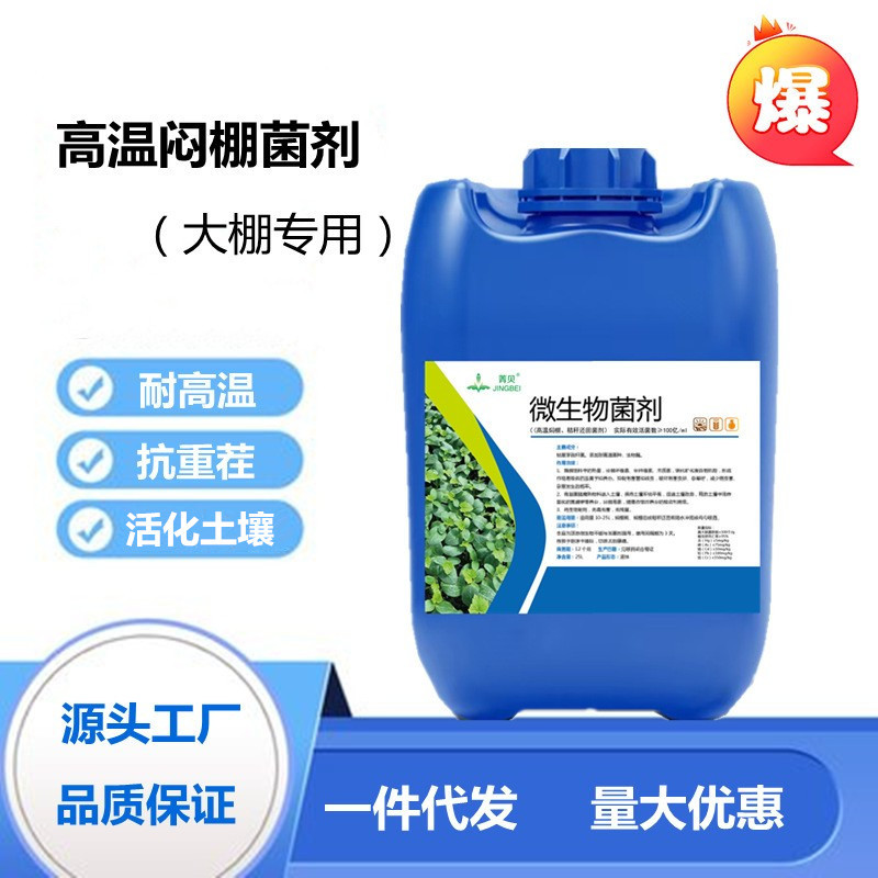 高温闷棚专用菌种大棚蔬菜闷棚剂抗重茬防死棵改良土壤微生物菌种