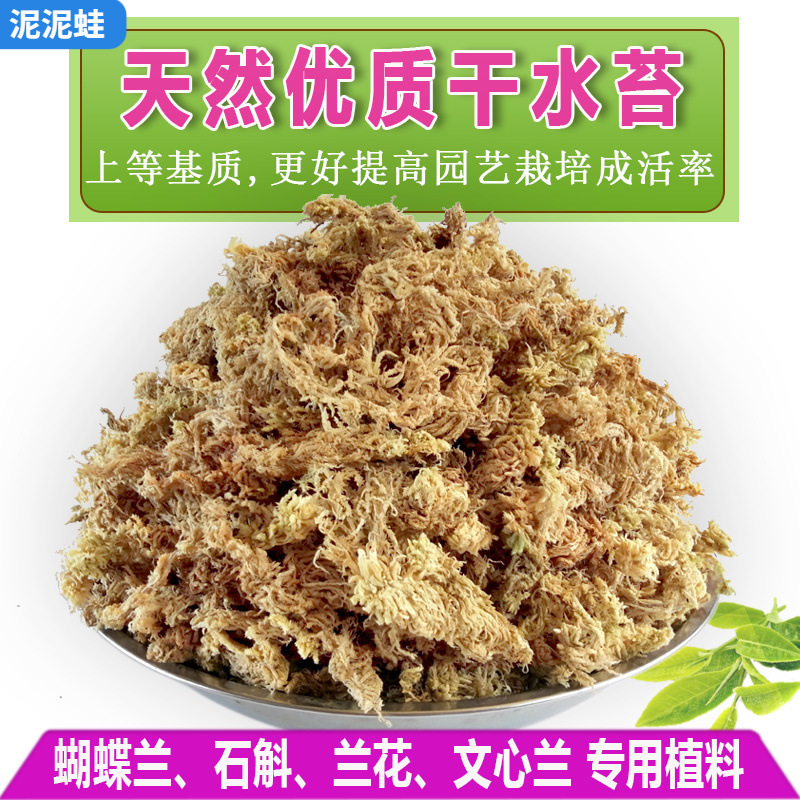 贵州优质干水苔蝴蝶兰专用土文心兰鹿角蕨兰花多肉养花植料苔藓