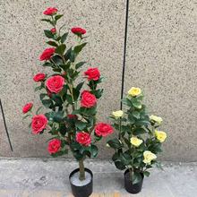 ����軨��ɽ�軨����پGֲ���ԼҾ��b���ؔ[���҃��p�ݷ��滨