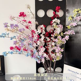 2���L֦���Ļ� ���g�����ٻ���c�b��滨�߼��Йѻ�����滨