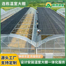 日光温室暖棚定制 连栋薄膜温室拱棚 阳光板温室加工