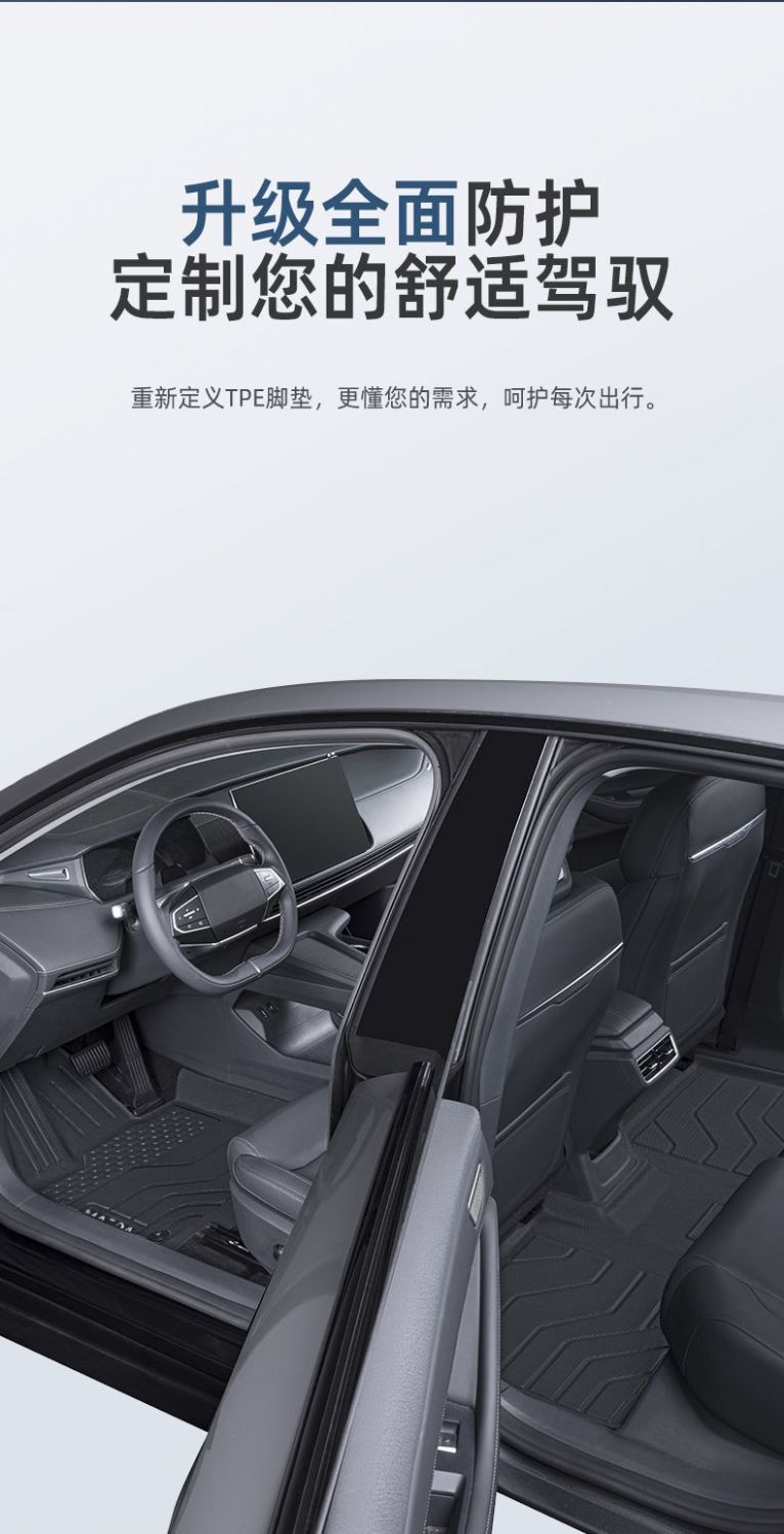 TPE Car Floor Mats for Chery eQ1 Ant 2024, Front Row