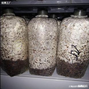 ʳ�þ��N�����N����Nƽ���������N�����`֥�����乽���NĢ������