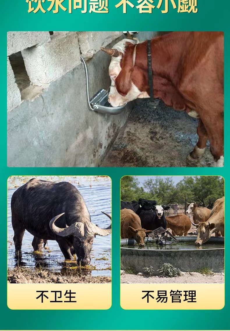 牛饮水碗 (3).jpg
