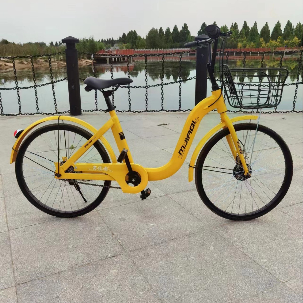Transfronterizos personalizados compartidos bicicletas de una rueda bicicletas bicicletas bicicletas OEM bicicletas de montaña bicicletas plegables
