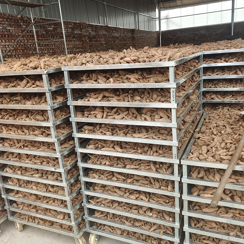 ɽ���ٷڵػƱ�ʽ��ʪ�� ҩ�ĺ�ɳ�ʪһ������ҹ� Ӧ�ȱú�ɻ�