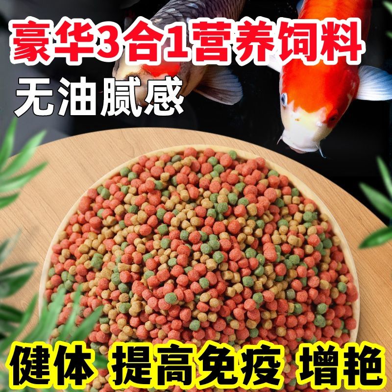 ★[80% 수족관 추천] 삼색 영양식품, 소립, 0.5kg팩(1회 구매 1.5kg / 1회 구매 2.5kg )