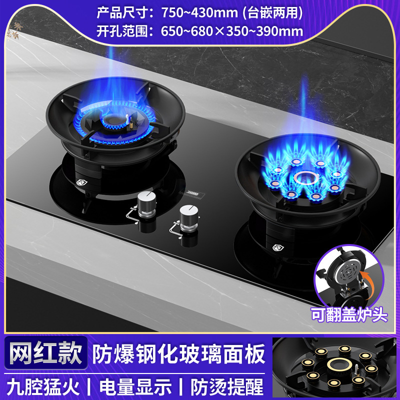 Rong Shida al por mayor doble estufas de gas estufas domésticas de gas natural gas licuado red rojo mágico estufas