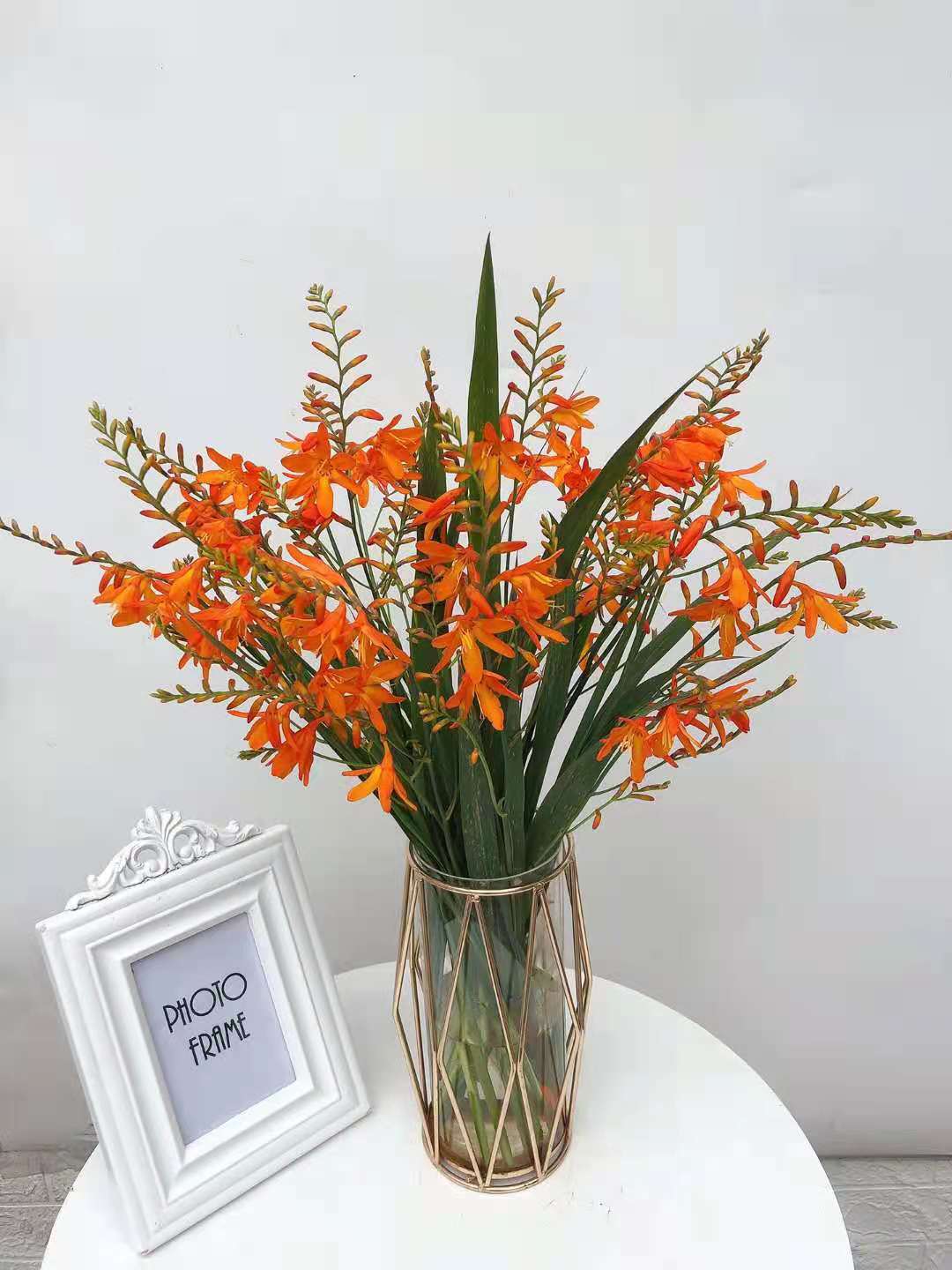 空运 天鹅绒火焰兰组合 鲜切花插花非防真花云南鲜花代发|ms