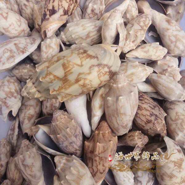 Organic coral aquarium decor for home use for office