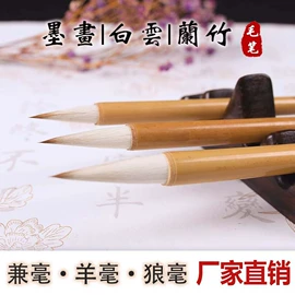画纸、画布;宣纸;扇子