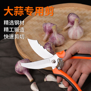 Garlic special scissors garlic cutting artifact garlic Hu scissors garlic head cutting garlic beard Rod onion foreign repair electric round cutting green