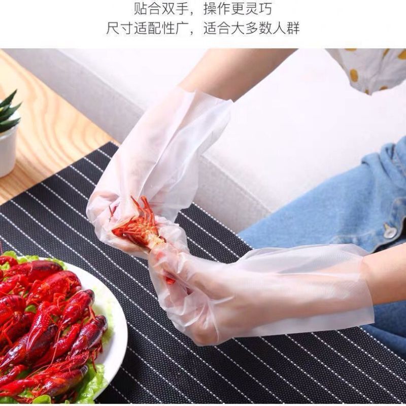 使い捨て手袋食品級PE飲食焙煎ラテックス透明厚手キッチン専用防護家庭用手袋女性|undefined