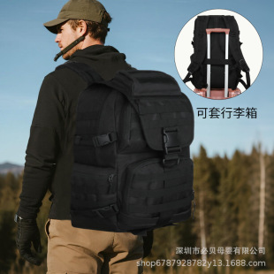 �羳��ʽ��Ůʽ܊�Ñ��g����3��ͻ�����������к�ɫ��̖��������